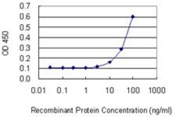 Monoclonal Anti-DDIT4L, (C-terminal) antibody produced in mouse clone 2E6, purified immunoglobulin, buffered aqueous solution