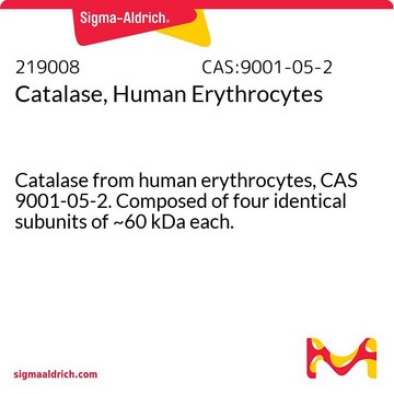 Catalase, Human Erythrocytes Catalase from human erythrocytes, CAS 9001-05-2. Composed of four identical subunits of ~60 kDa each.