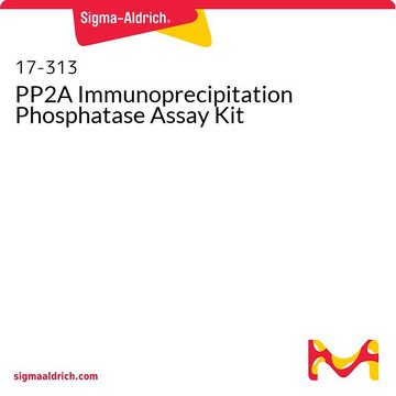 PP2A Immunoprecipitation Phosphatase Assay Kit