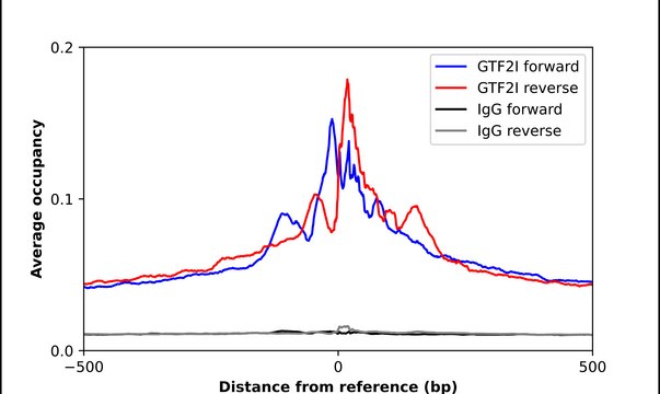 Anti-GTF2I antibody produced in rabbit affinity isolated antibody, buffered aqueous glycerol solution