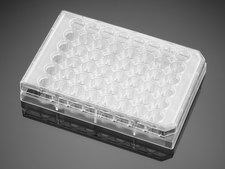 Corning&#174; BioCoat&#8482; Poly-D-Lysine Multiwell Plate well size 48&#160;wells, flat bottom clear wells, lid