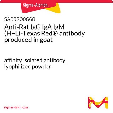 Anti-Rat IgG IgA IgM (H+L)-Texas Red&#174; antibody produced in goat affinity isolated antibody, lyophilized powder
