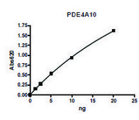 PDE4A10 active human recombinant, expressed in baculovirus infected Sf9 cells, &#8805;75% (SDS-PAGE)