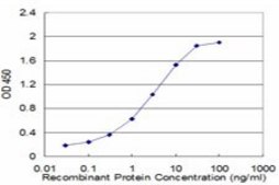 Monoclonal Anti-ATP4B antibody produced in mouse clone 1D10, purified immunoglobulin, buffered aqueous solution