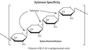 Driselase&#8482; from Basidiomycetes sp. powder, Protein &#8805;10&#160;% by biuret