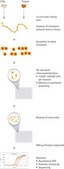 Magna ChIP&#174; HT96 Chromatin Immunoprecipitation Kit The Magna ChIP HT96 kit allows the performance of chromatin Immunoprecipitation in a 96-well plate-based format.