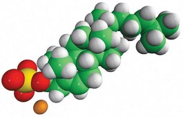 cholesterol sulfate Avanti Research&#8482; - A Croda Brand 700016P