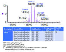 SILu&#8482;Lite SigmaMAb Trastuzumab Monoclonal Antibody recombinant, expressed in CHO cells
