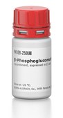 &#946;-Phosphoglucomutase from Lactococcus sp. recombinant, expressed in E. coli