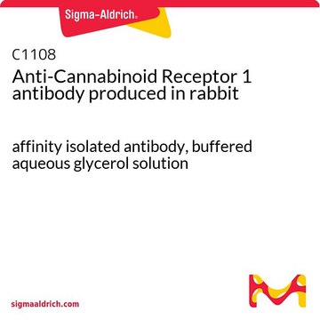 Anti-Cannabinoid Receptor 1 antibody produced in rabbit affinity isolated antibody, buffered aqueous glycerol solution