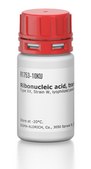 Ribonucleic acid, transfer from Escherichia coli Type XX, Strain W, lyophilized powder