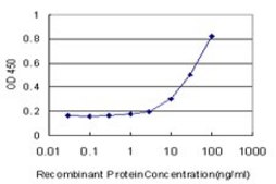 Monoclonal Anti-TTF2 antibody produced in mouse clone 3D11, purified immunoglobulin, buffered aqueous solution