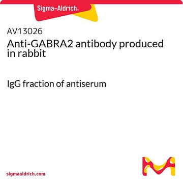 Anti-GABRA2 antibody produced in rabbit IgG fraction of antiserum