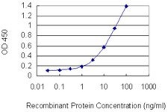 Monoclonal Anti-EGLN3 antibody produced in mouse clone 3C5, purified immunoglobulin, buffered aqueous solution