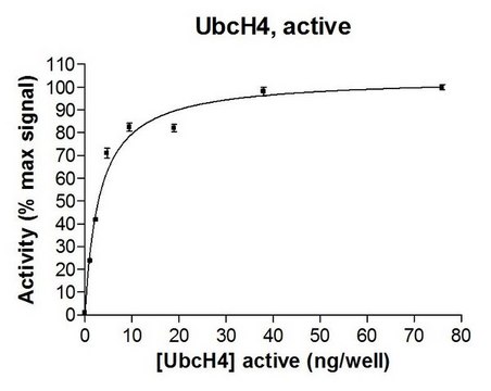 UbcH4 Protein, active, 50 &#181;g Active, full length, recombinant human UbcH4. N-terminal HA, 6His-tagged. For use in Enzyme Assays. Functions as an E2 enzyme in ubiquitination assays.