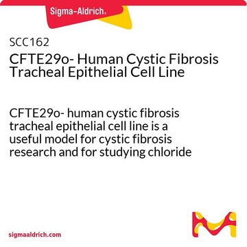 CFTE29o- Human Cystic Fibrosis Tracheal Epithelial Cell Line CFTE29o- human cystic fibrosis tracheal epithelial cell line is a useful model for cystic fibrosis research and for studying chloride ion transport and ion transport in human airways.