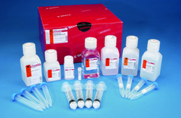 GenElute&#8482; HP Plasmid Maxiprep Kit sufficient for 4&#160;purifications