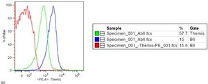 Anti-Themis Antibody from rabbit, purified by affinity chromatography
