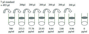 Human Decorin ELISA Kit for serum, plasma, cell culture supernatant and urine