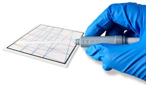 Test des protéines avec indicateur d’allergènes FLASH&#174; BioControl, Rapid Protein Detection for HACCP Management