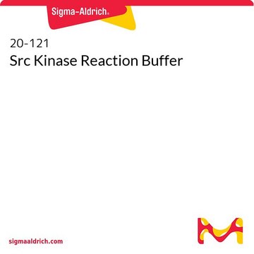 Src Kinase Reaction Buffer