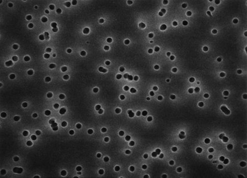 Polycarbonate Membrane Filter, 5.0 &#956;m Pore Size Isopore&#8482;, filter diam. 90&#160;mm, hydrophilic