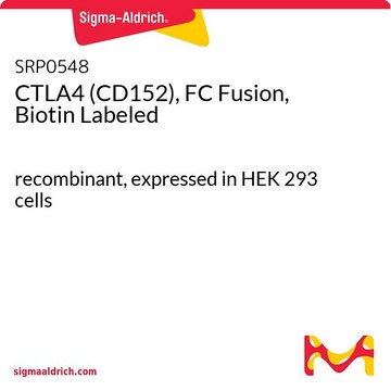 CTLA4 (CD152), FC Fusion, Biotin Labeled recombinant, expressed in HEK 293 cells