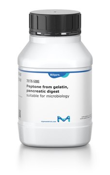 Peptone from gelatin, pancreatic digest suitable for microbiology