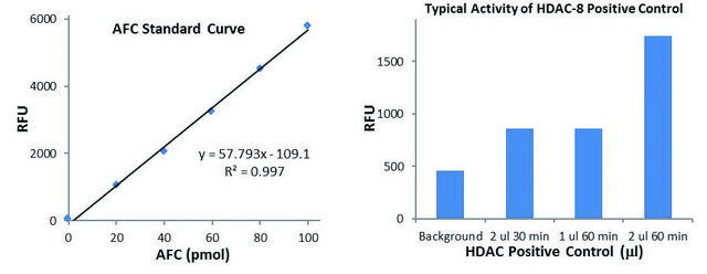 Histone Deacetylase 8 (HDAC8) Activity Assay Kit 100 assays in 96 well plates