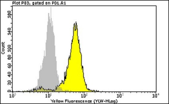 Milli-Mark Anti-Phospho-Erk1/2 Antibody (Thr202/Tyr204, Thr185/Tyr187)-PE clone AW39R, Milli-Mark&#174;, from rabbit