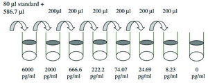 Human TGF-&#946; 2 ELISA Kit for serum, plasma, and cell culture supernatants