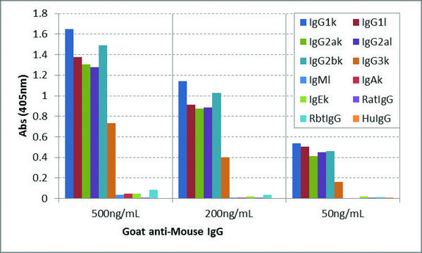 Anti-Mouse IgG-Biotin antibody, Goat monoclonal recombinant, expressed in HEK 293 cells, clone RMG07, purified immunoglobulin