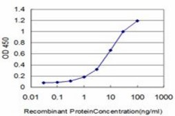 Monoclonal Anti-KLF6, (N-terminal) antibody produced in mouse clone 3C4, purified immunoglobulin, buffered aqueous solution