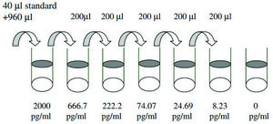 Mouse IL-13 ELISA Kit for serum, plasma and cell culture supernatant