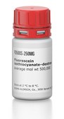 Fluorescein isothiocyanate–dextran average mol wt 500,000