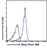 Anti-IGF2BP1 antibody produced in goat affinity isolated antibody, buffered aqueous solution