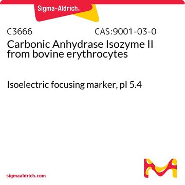 Carbonic Anhydrase Isozyme II from bovine erythrocytes Isoelectric focusing marker, pI&#160;5.4