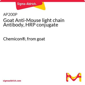 Goat Anti-Mouse light chain Antibody, HRP conjugate Chemicon&#174;, from goat