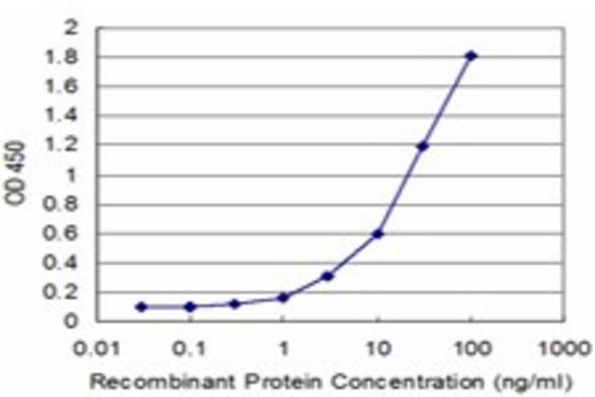 Monoclonal Anti-FTL antibody produced in mouse clone 4A7, purified immunoglobulin, buffered aqueous solution