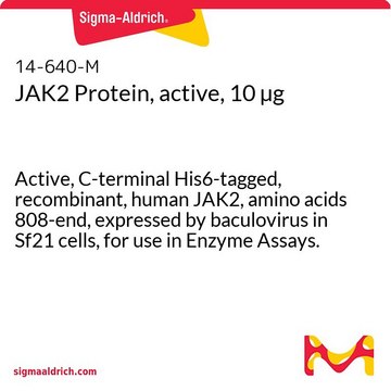 JAK2 Protein, active, 10 &#181;g Active, C-terminal His6-tagged, recombinant, human JAK2, amino acids 808-end, expressed by baculovirus in Sf21 cells, for use in Enzyme Assays.