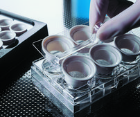 Corning&#174; Netwells&#174; accessories black reagent tray
