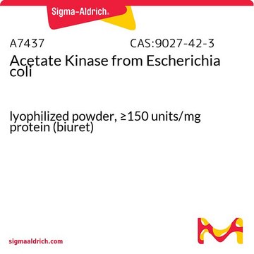 Acetate Kinase from Escherichia coli lyophilized powder, &#8805;150&#160;units/mg protein (biuret)