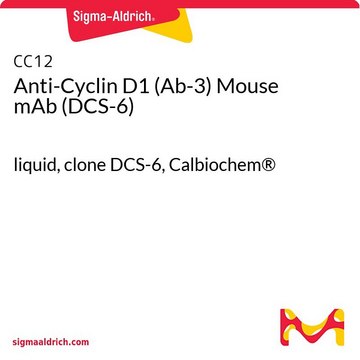 Anti-Cyclin D1 (Ab-3) Mouse mAb (DCS-6) liquid, clone DCS-6, Calbiochem&#174;