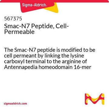 Smac-N7 Peptide, Cell-Permeable The Smac-N7 peptide is modified to be cell permeant by linking the lysine carboxyl terminal to the arginine of Antennapedia homeodomain 16-mer peptide via a proline linker.