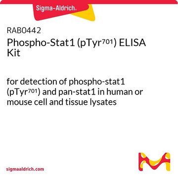 Phospho-Stat1 (pTyr701) ELISA Kit for detection of phospho-stat1 (pTyr701) and pan-stat1 in human or mouse cell and tissue lysates