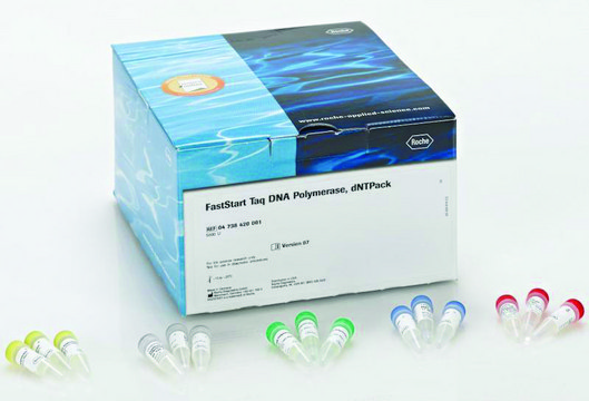 FastStart&#8482; Taq DNA Polymerase, dNTPack