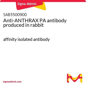 Anti-ANTHRAX PA antibody produced in rabbit affinity isolated antibody