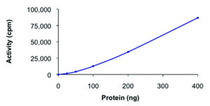 GRK6, active, GST tagged human PRECISIO&#174; Kinase, recombinant, expressed in baculovirus infected Sf9 cells, &#8805;70% (SDS-PAGE), buffered aqueous glycerol solution