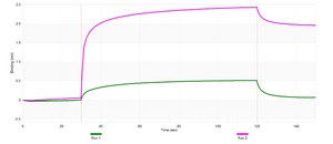 Anti-CXCR5 Antibody, clone 1G22 ZooMAb&#174; Rabbit Monoclonal recombinant, expressed in HEK 293 cells