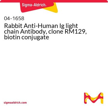 Rabbit Anti-Human Ig light chain Antibody, clone RM129, biotin conjugate